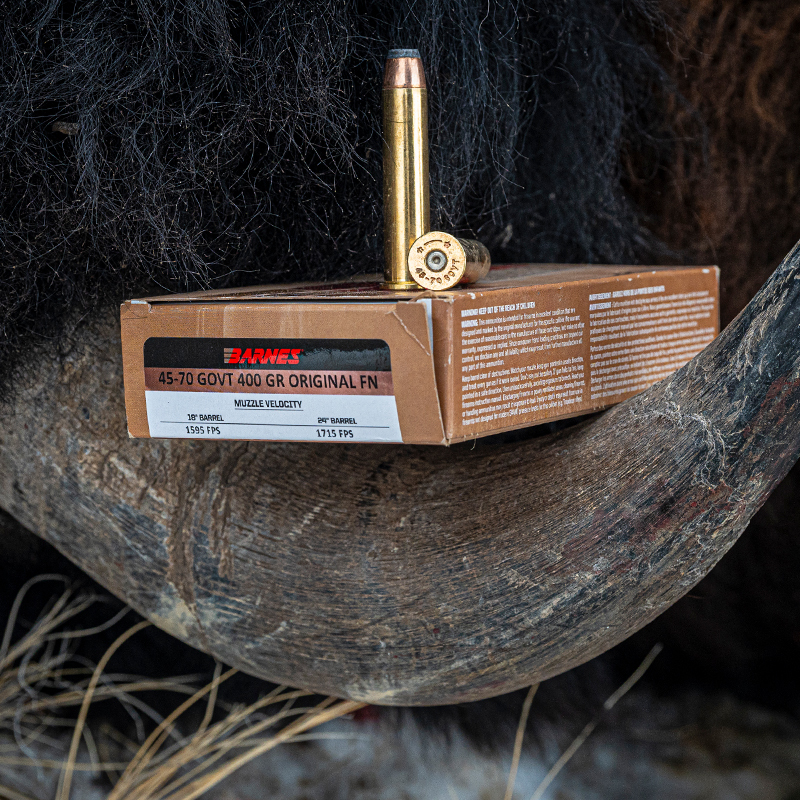 bisonpioneer.jpg